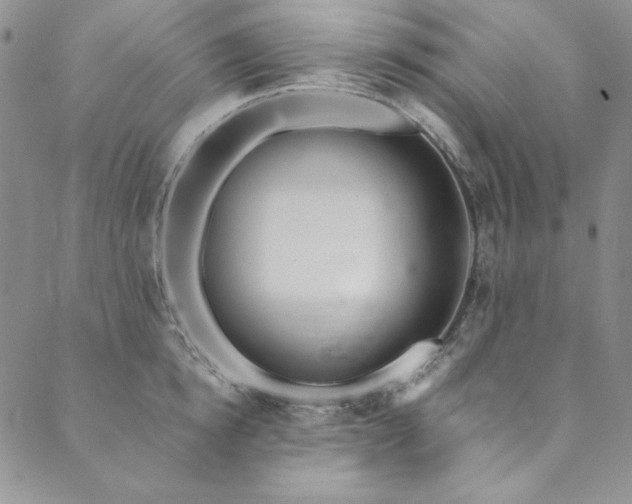 X0000090500854200707131350