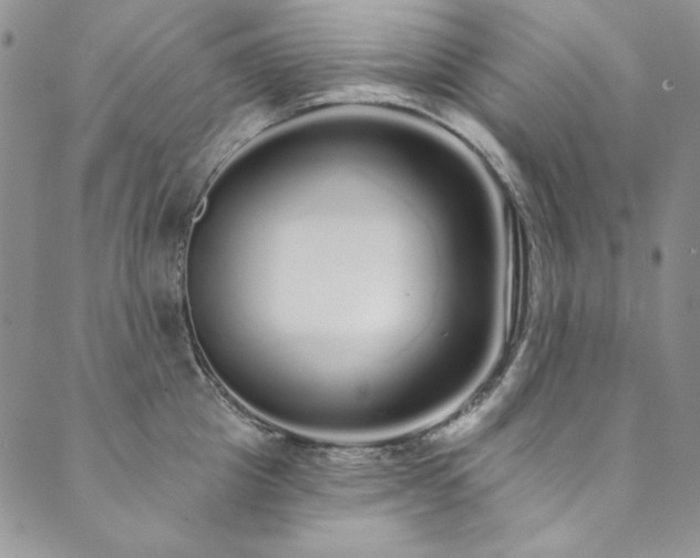 X0000090500857200707131350