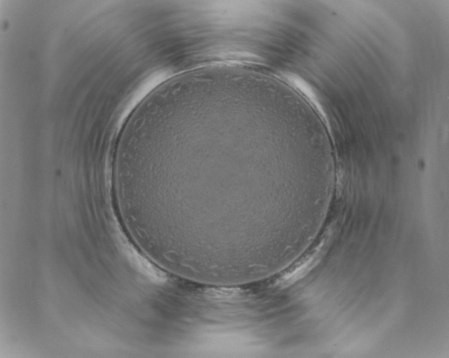 X0000090500859200707131350