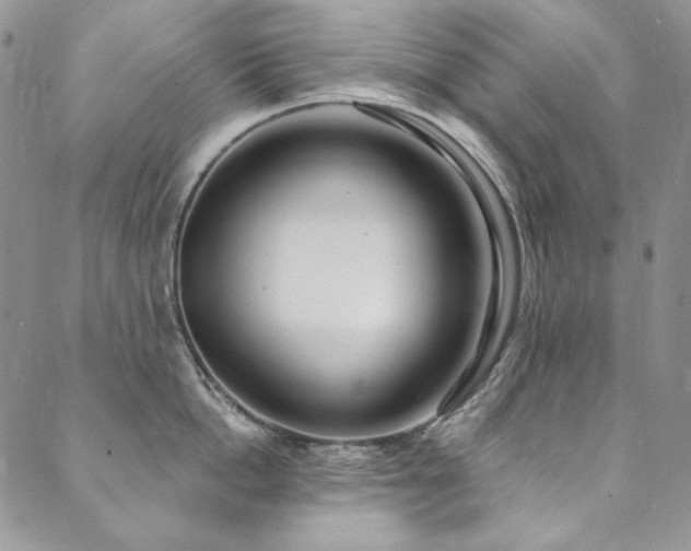 X0000090500862200707131350