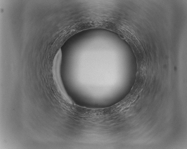 X0000090500865200707131350