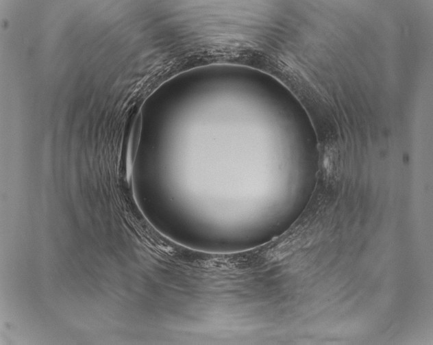 X0000090500867200707131350