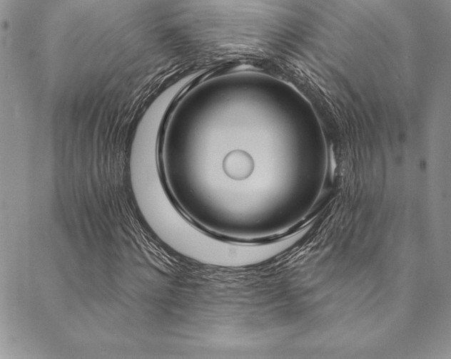X0000090500868200707131350