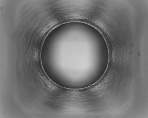 X0000090500873200707131349