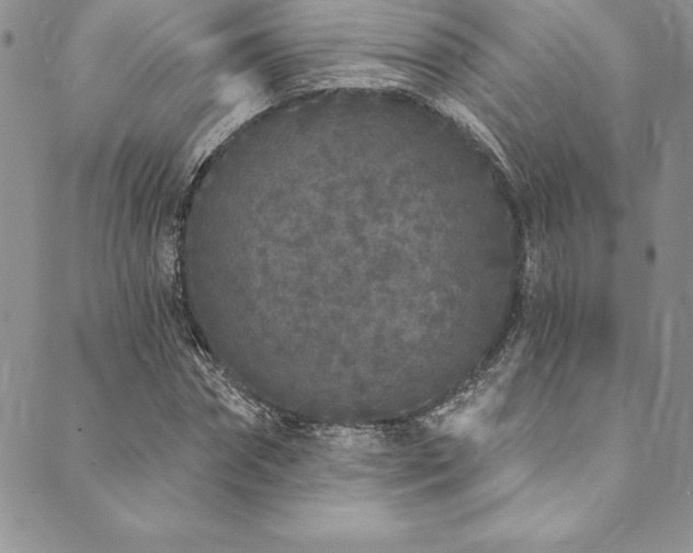 X0000090500874200707131349