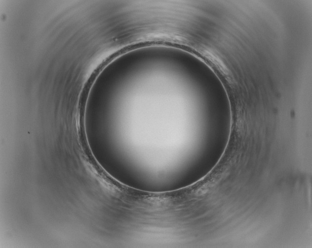 X0000090500888200707131349