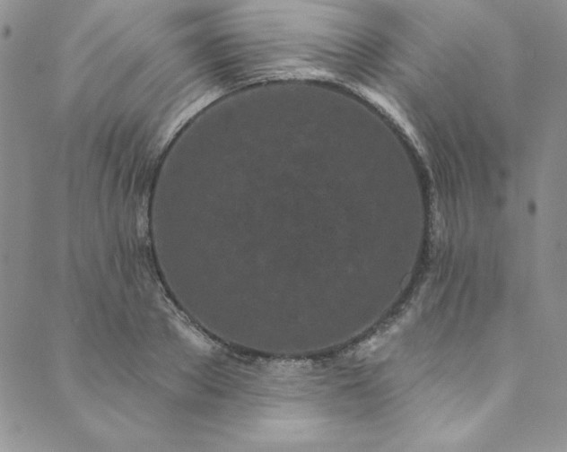 X0000090500889200707131349