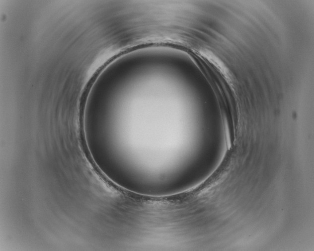 X0000090500894200707131349