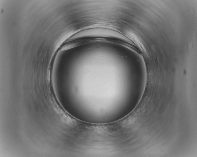 X0000090500900200707131349