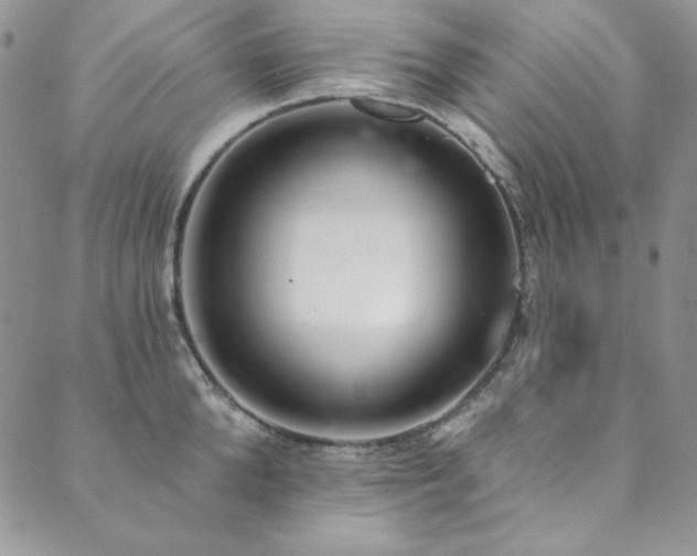 X0000090500904200707131349