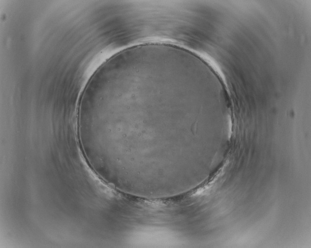 X0000090500911200707131349