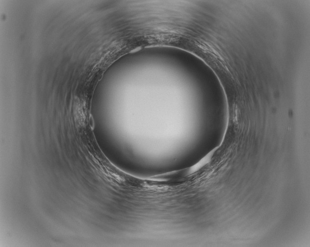 X0000090500915200707131348