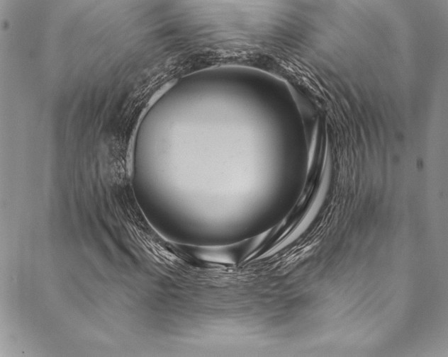 X0000090500916200707131348