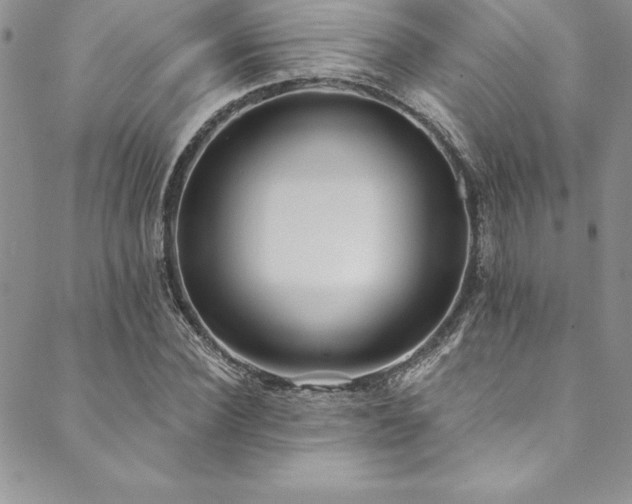 X0000090500924200707131348