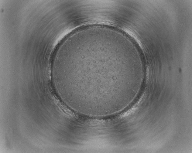 X0000090500925200707131348