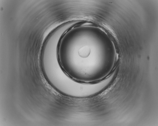 X0000090500928200707131348