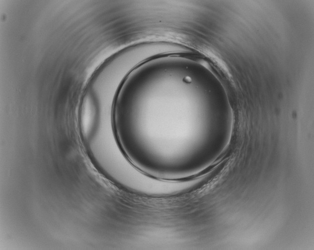 X0000090500936200707131348