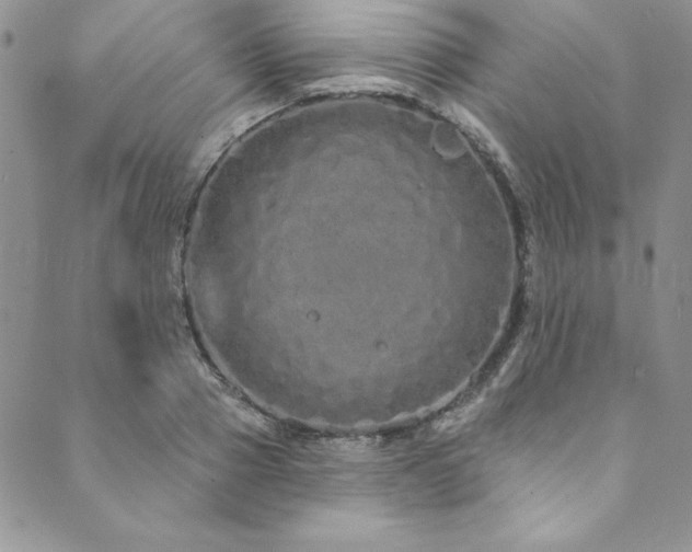 X0000090500937200707131348