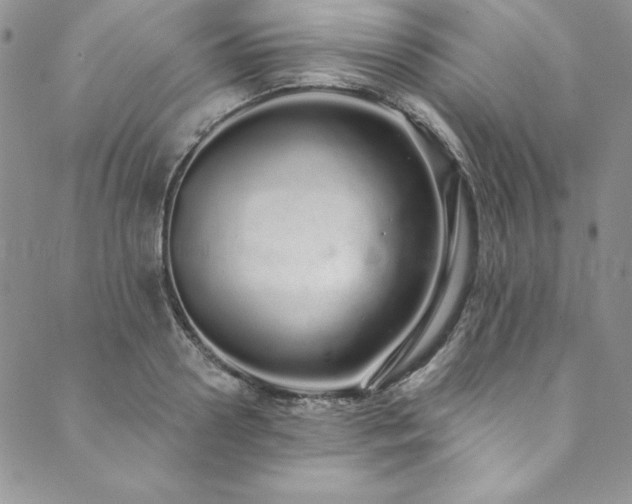 X0000090500938200707131348