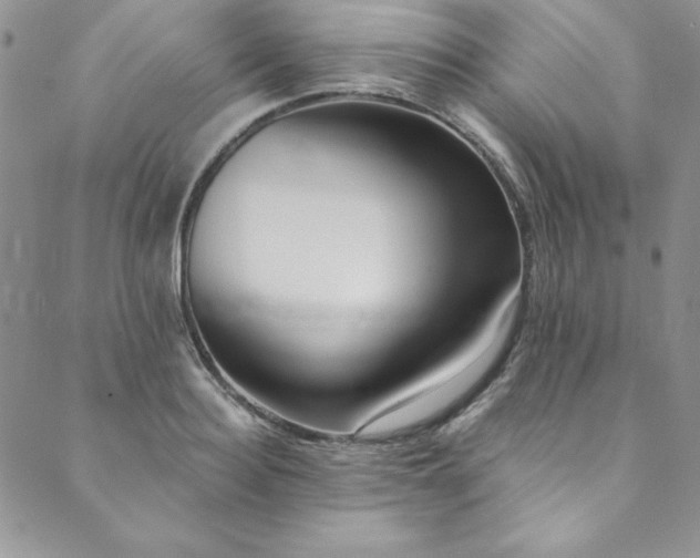 X0000090500940200707131348