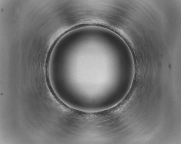 X0000090500943200707131348