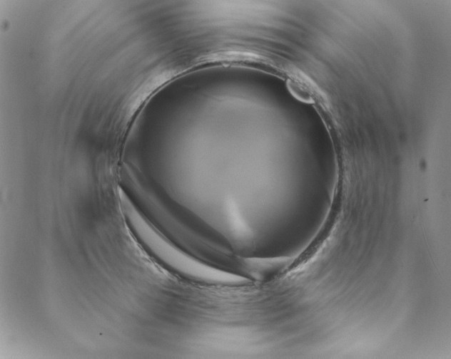 X0000090500945200707131349