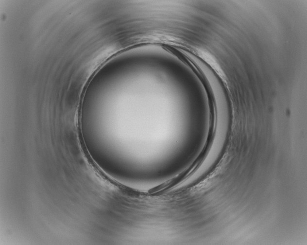 X0000090500946200707131349
