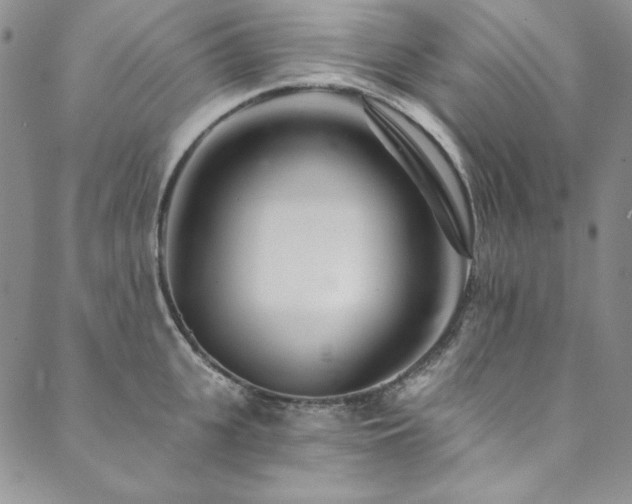 X0000090500951200707131349