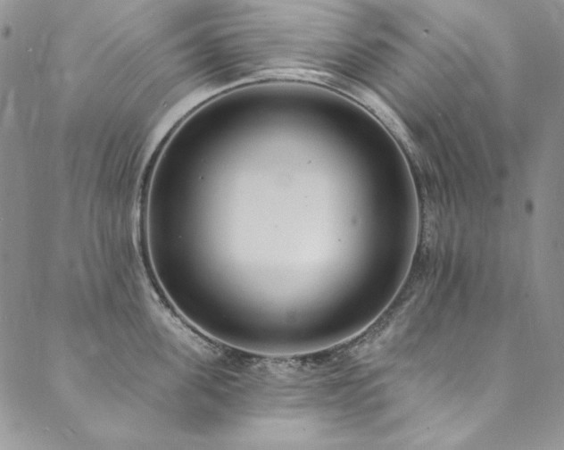X0000090500955200707131349