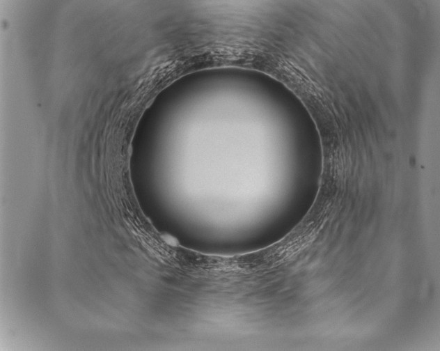 X0000090500961200707131348