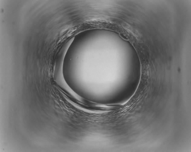 X0000090500965200707131348