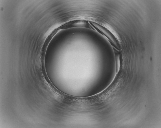 X0000090500972200707131348
