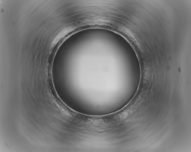 X0000090500978200707131348