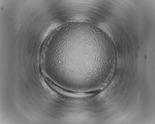 X0000090500994200707131347