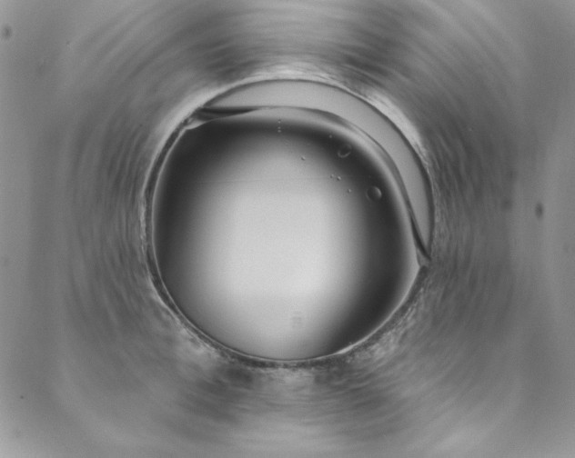 X0000090500996200707131347