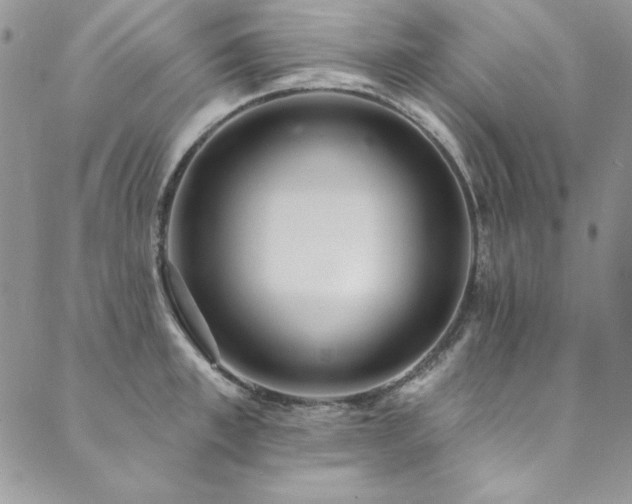 X0000090500997200707131347