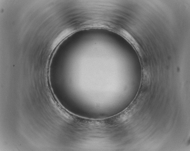 X0000090501002200707131347