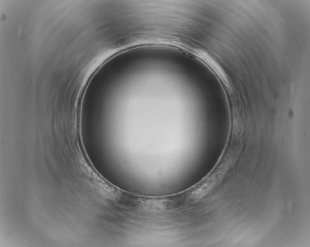 X0000090501004200707131347
