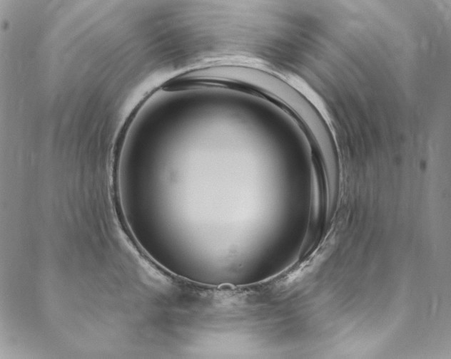 X0000090501005200707131347