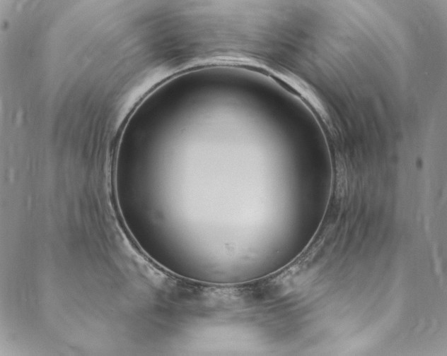X0000090501006200707131347