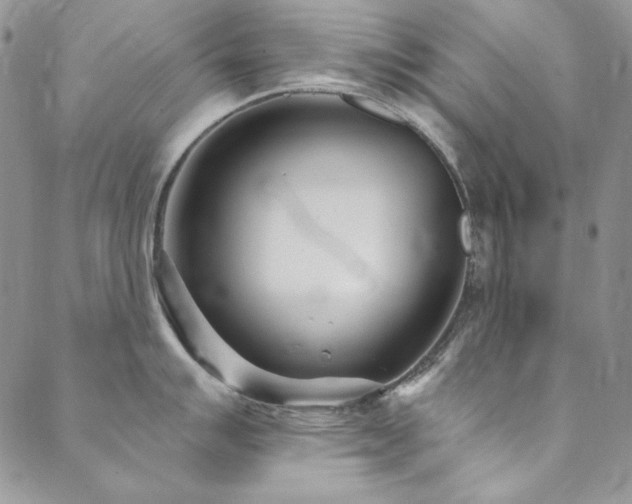 X0000090501007200707131347