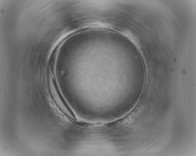 X0000090501008200707131347