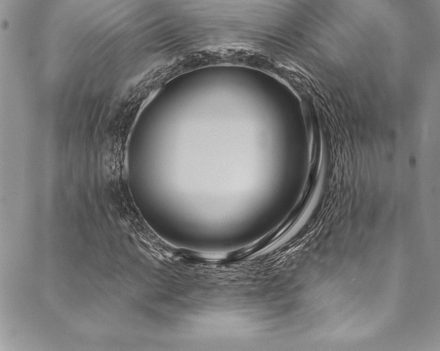 X0000090501014200707131347