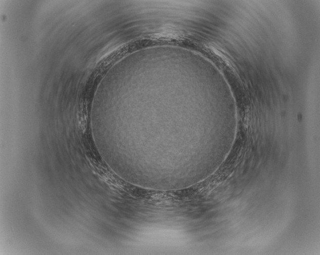 X0000090501015200707131347