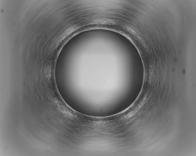 X0000090501017200707131347