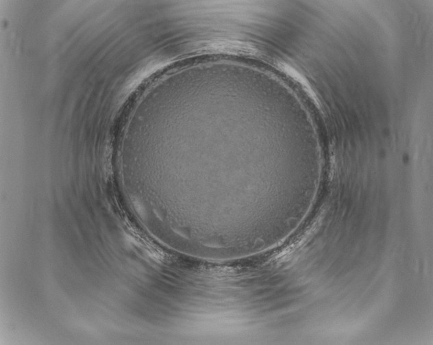 X0000090501019200707131347