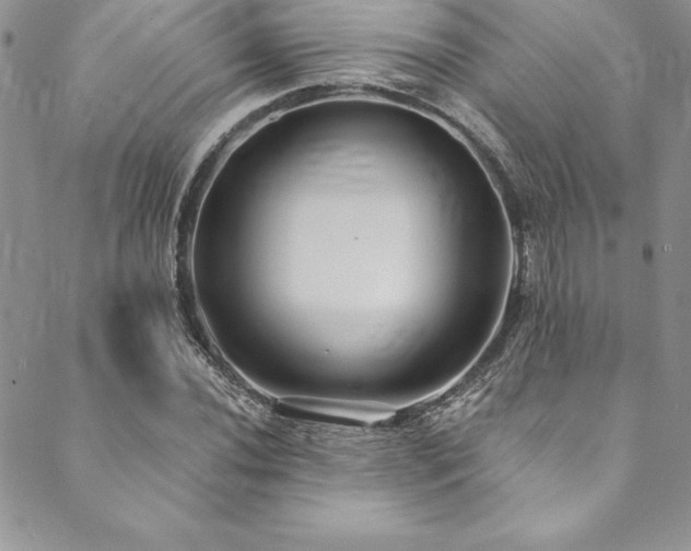 X0000090501020200707131347