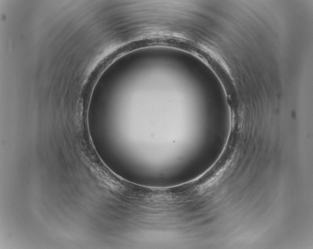 X0000090501021200707131347