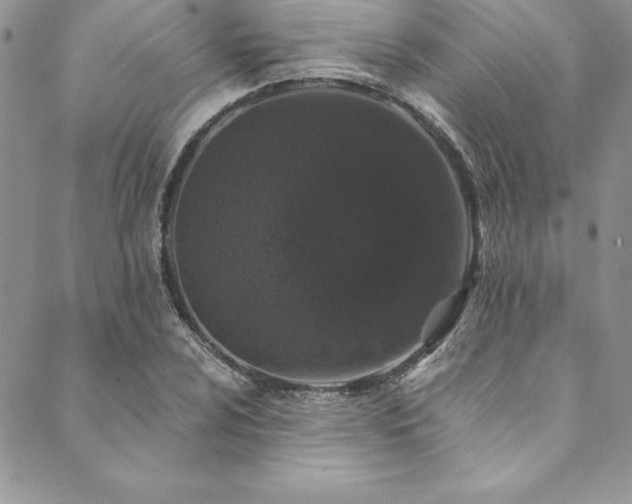 X0000090501024200707131347