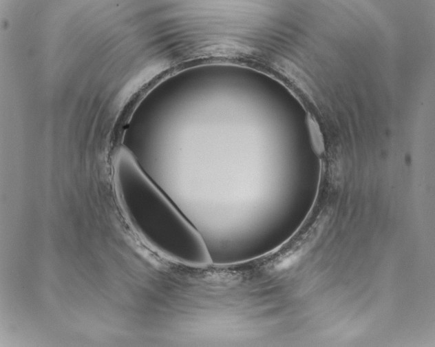 X0000090501026200707131347